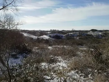 De Panne in de sneeuw (België)